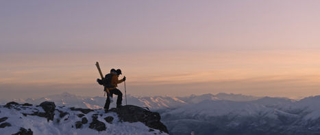 Ski For Trees