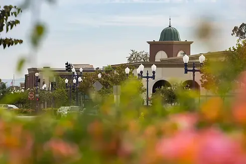 Downtown Azusa with plants out of focus in the foreground and building in focus in the background.