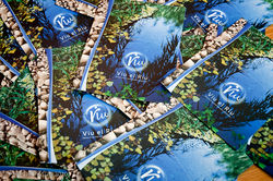 Fulletó "Viu el Riu"