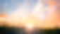 shutterstock_651190174.jpg