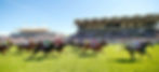 Goodwood
