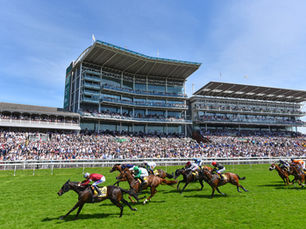 York Ebor 2021 Experiences