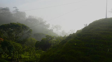 DSC02112.JPG