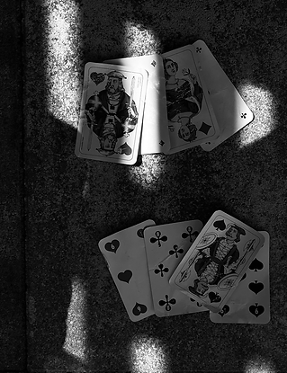 card shark.jpg