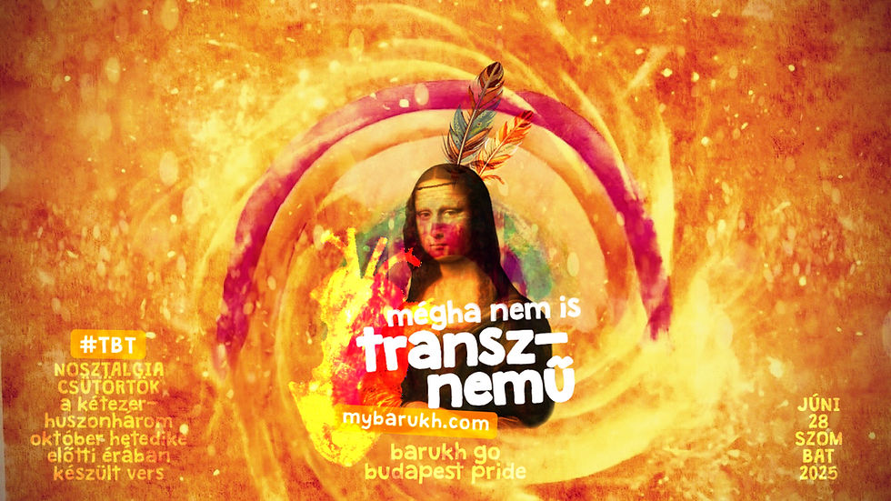 mégha nem is transznemű | barukh go budapest pride | vers írta barukh | illusztráció készítette barukh