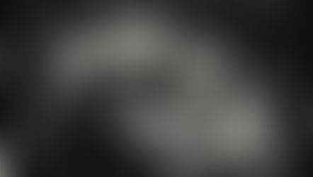 mégha nem is transznemű (FF)