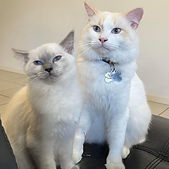 Image (22)_edited.jpg