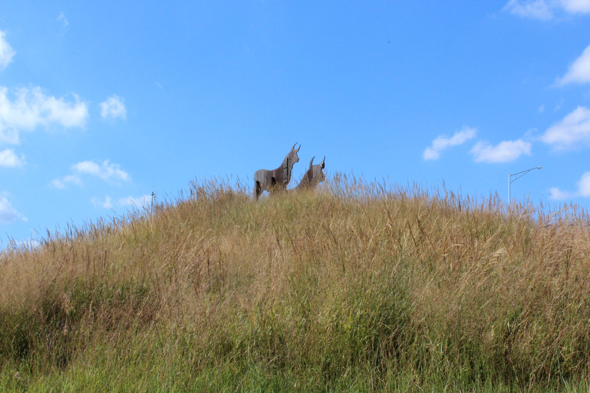 Bull Mountain 002
