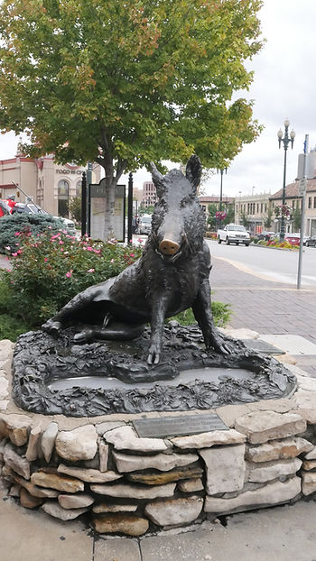 Bronze Boar Photo by Alexis Webb Bechtold