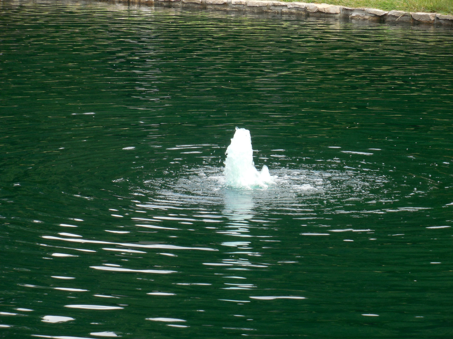 Mirror Pool 005