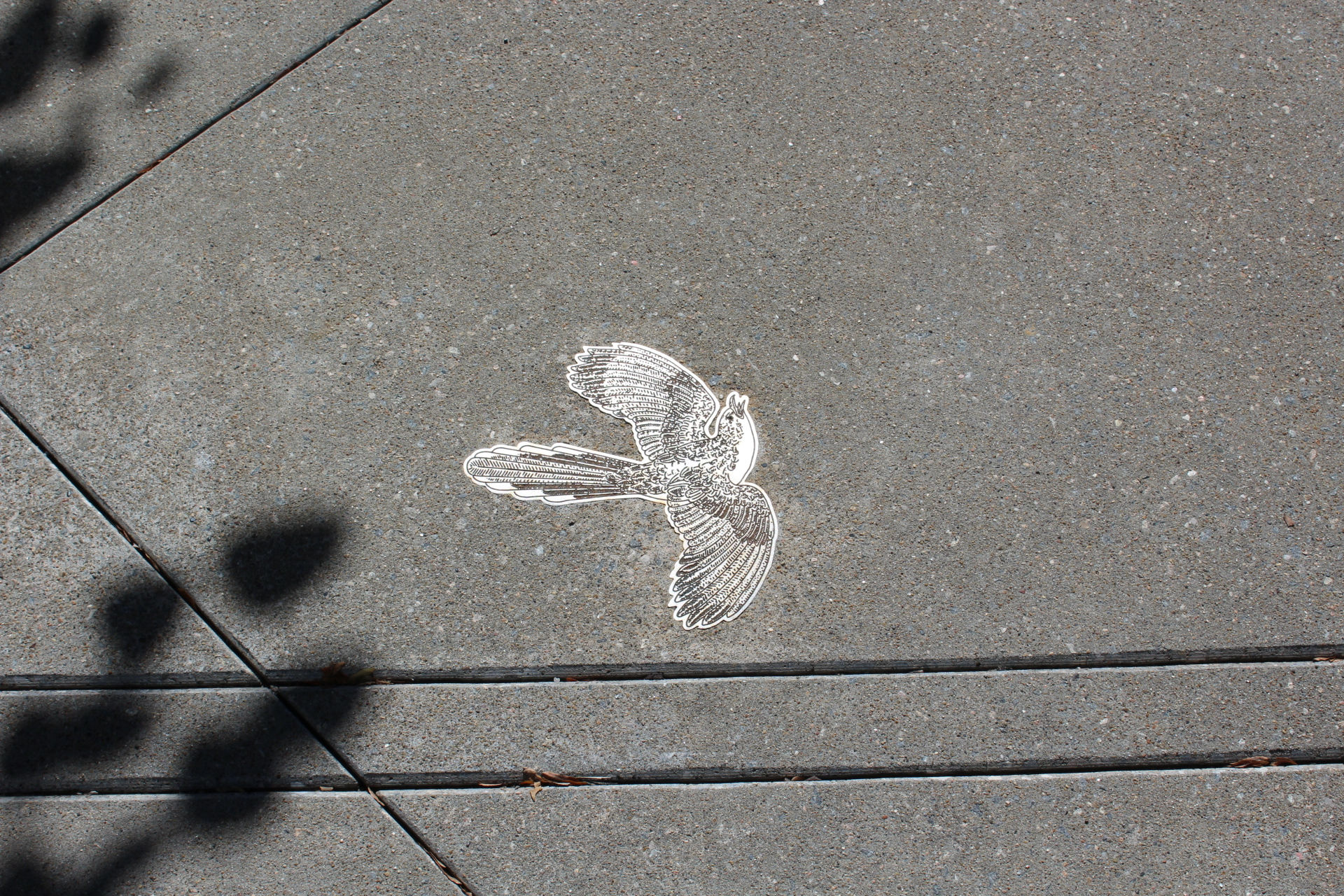 Celestial Flyways 010