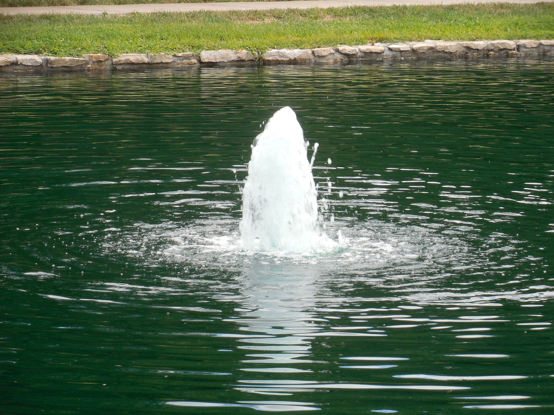Mirror Pool 004
