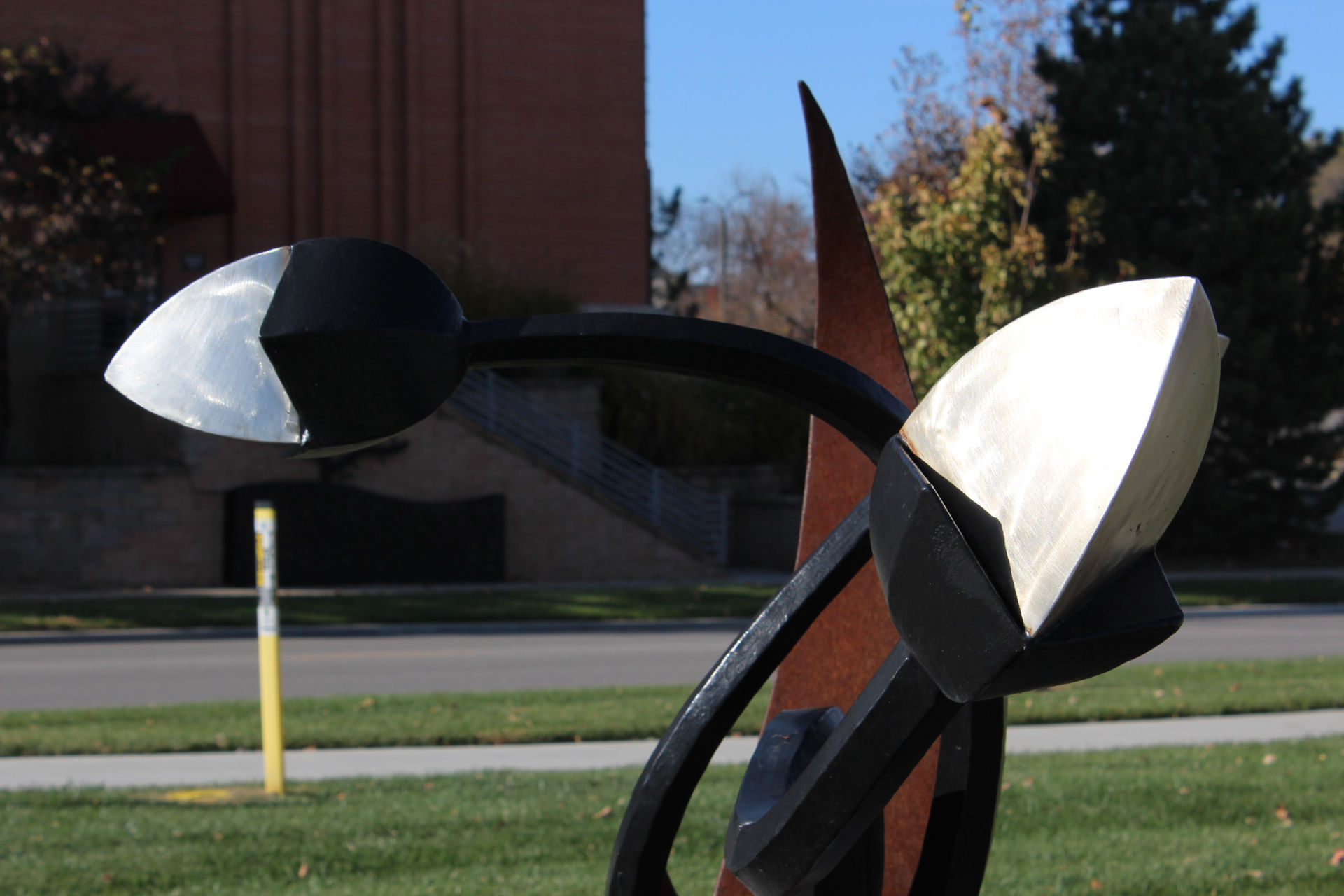 Wild Flower 006