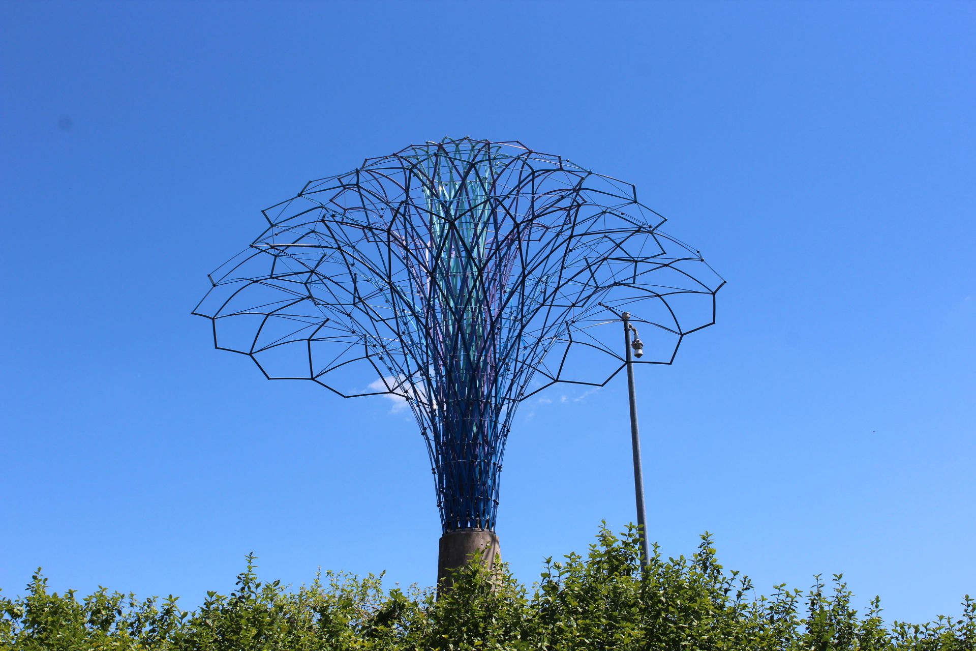 Blue Spring 002