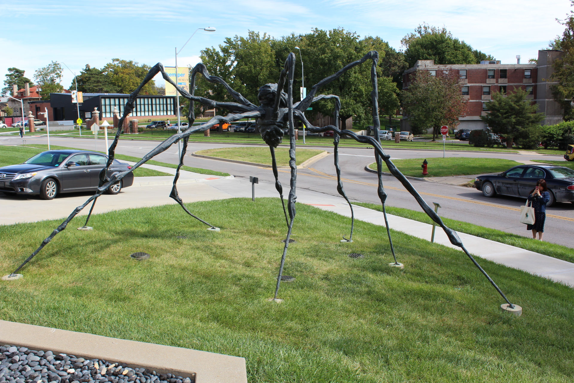 Spider 003