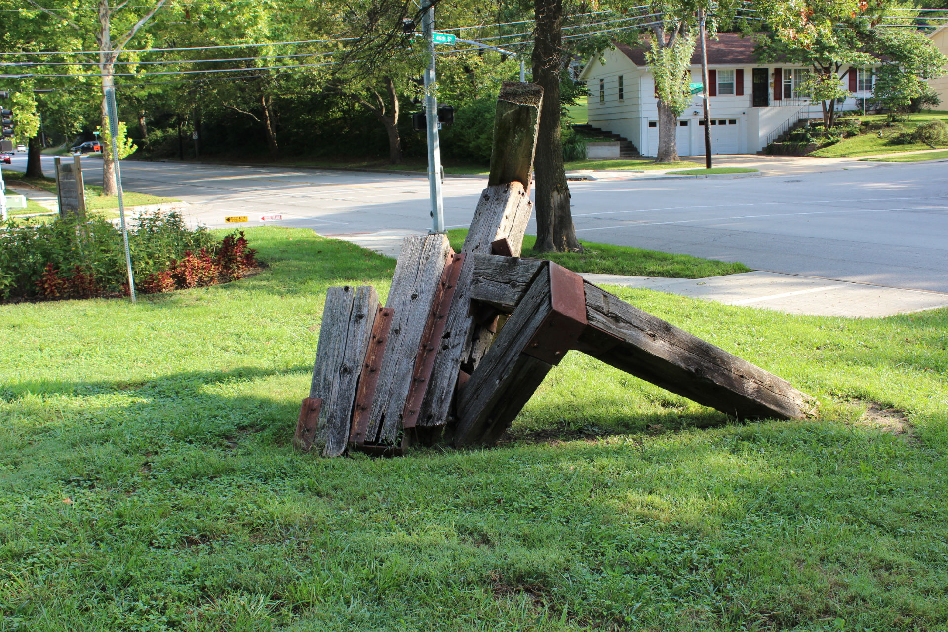 Wood Spider 003