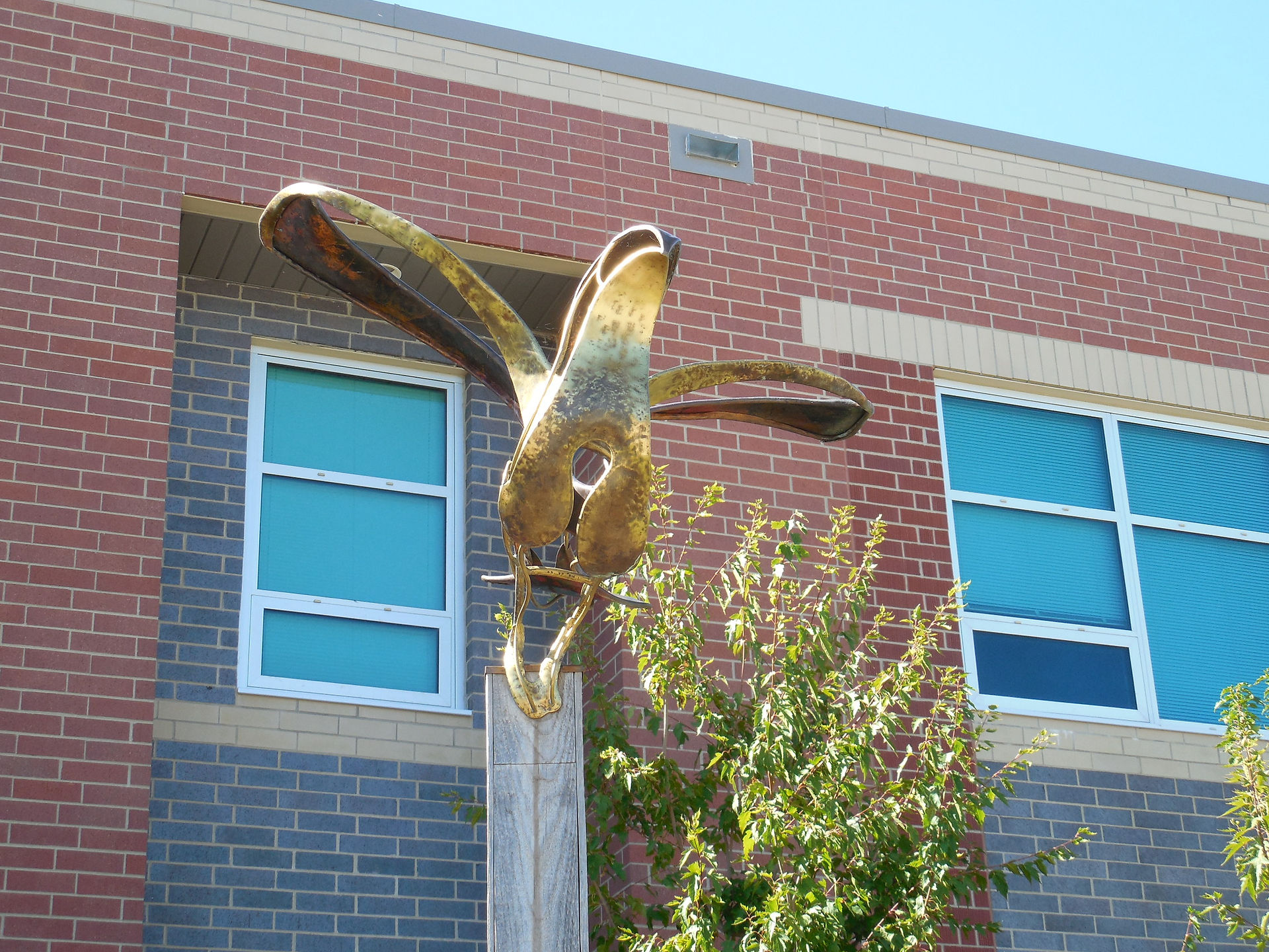 Skyward 002