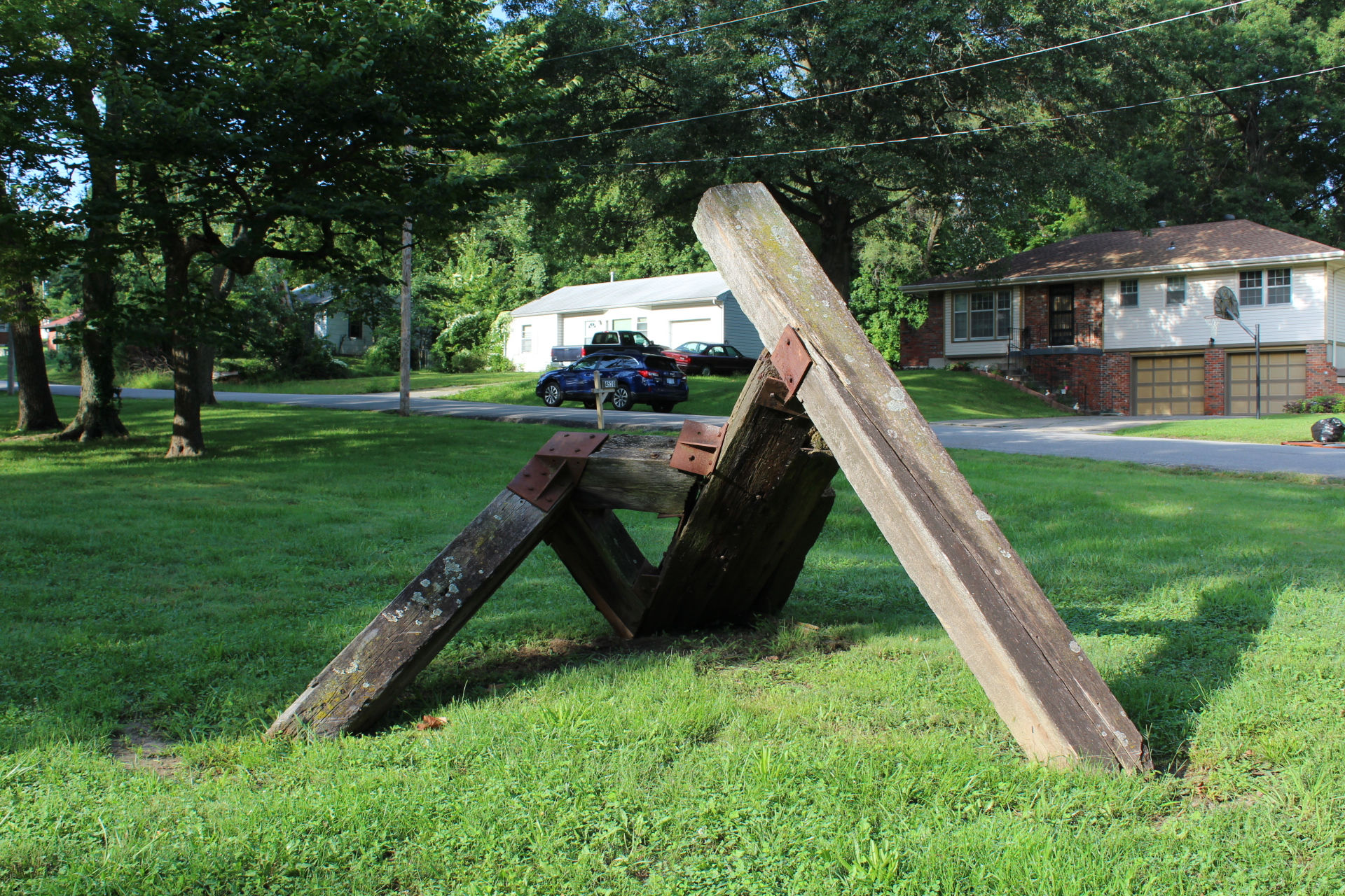 Wood Spider 001
