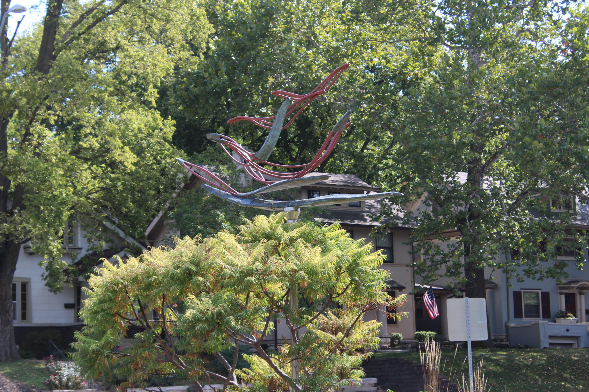Birds in Flight 011