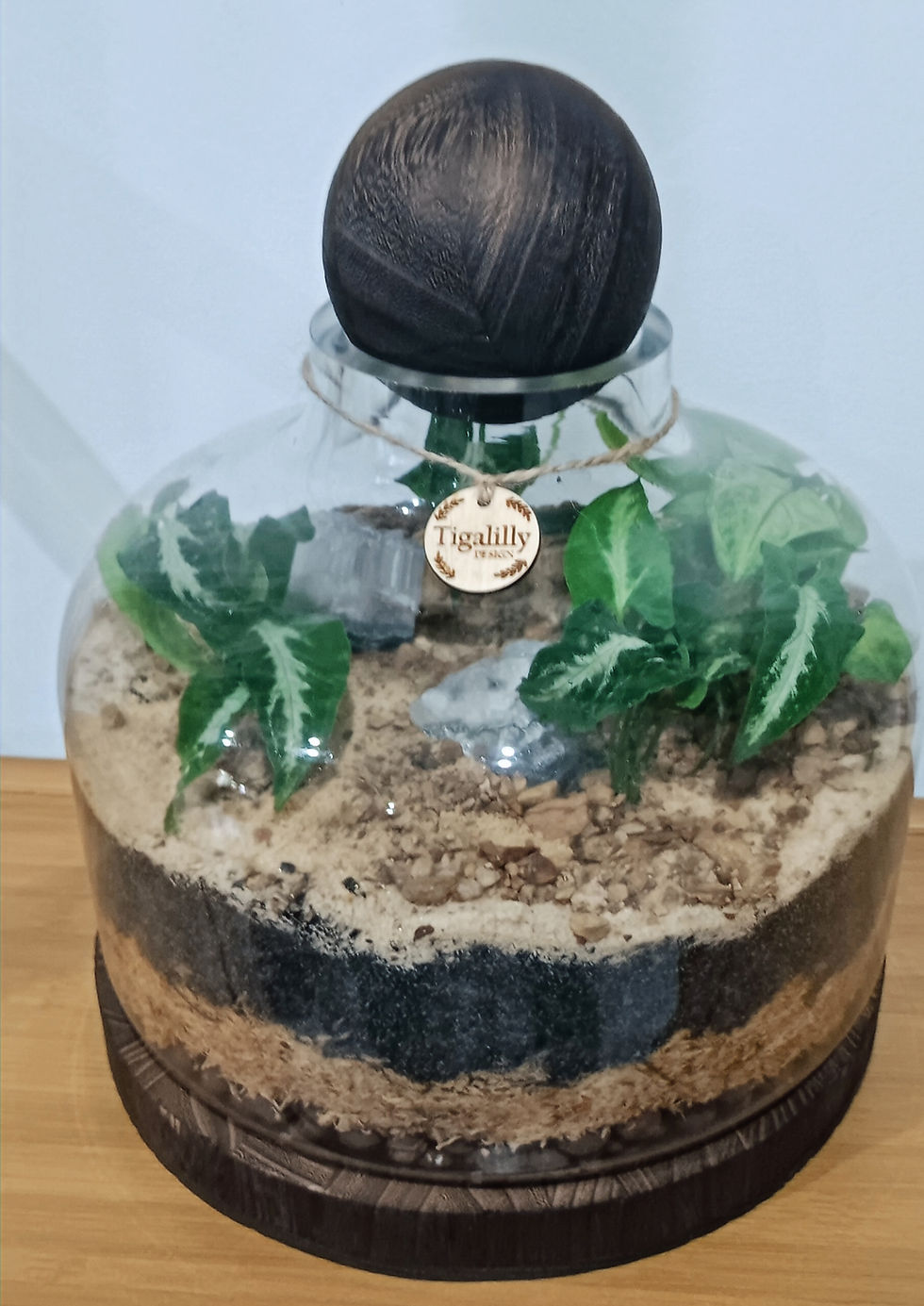 Thumbnail: MEDIUM Wooden Ball and Base Terrarium