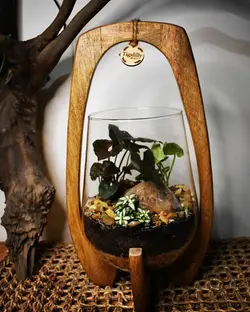 IMG_20220817_182421_461