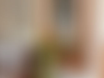 Къщата на живите цветове