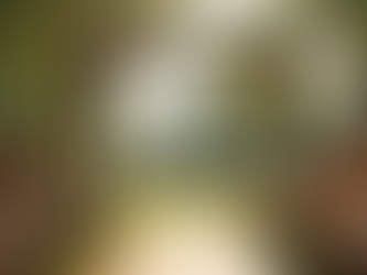 Creating a Unique Wedding Ceremony Tailored to You