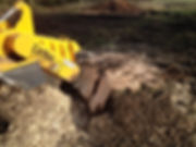 large stump removal with carlton 7015 tracted machine, local tree surgeon