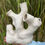 Thumbnail: Coral Sculpture