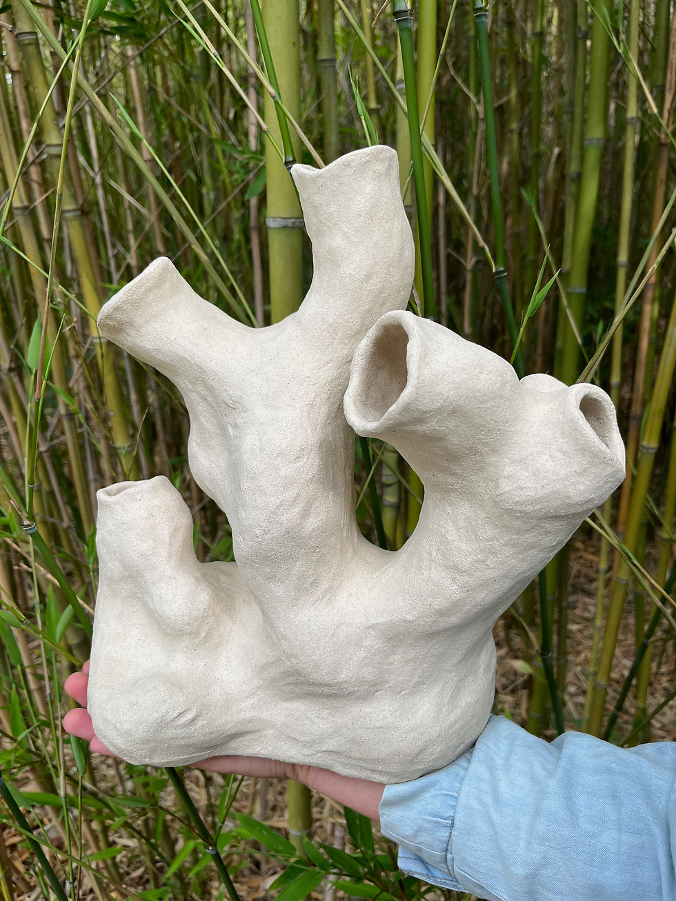 Coral Sculpture