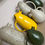 Thumbnail: Pingüinos YELLOW special edition