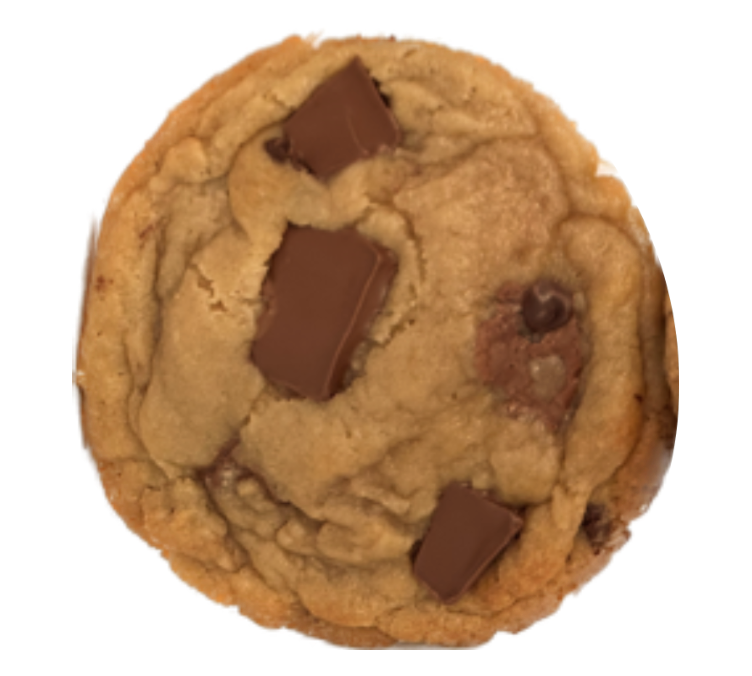 11 (2).png
