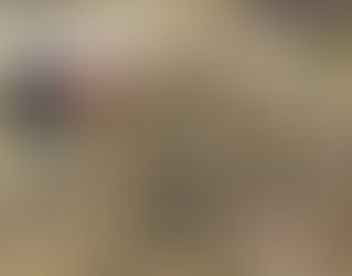 王道&ガレージキャンプブランドギア掲載のお知らせ