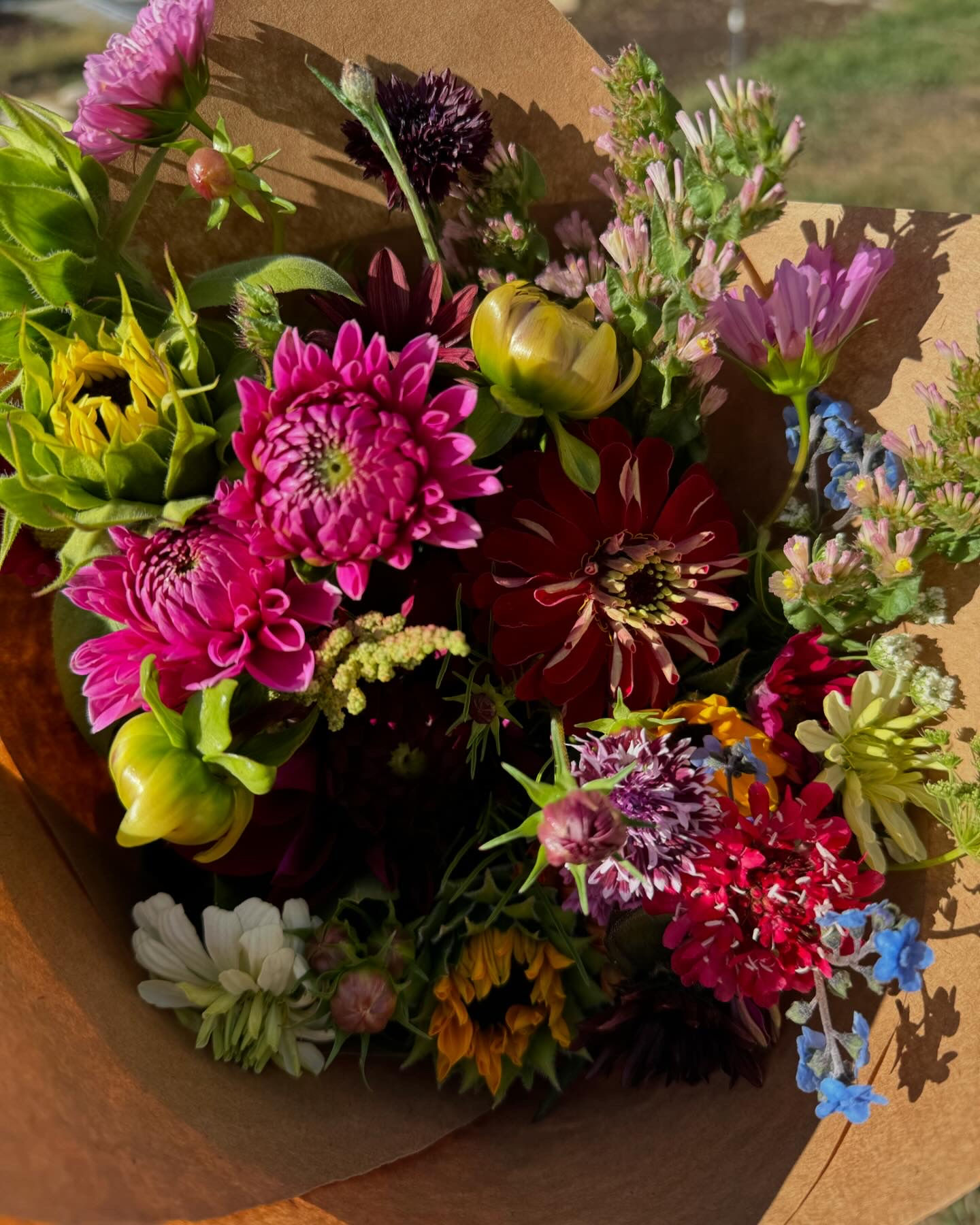 A Month of Flowers