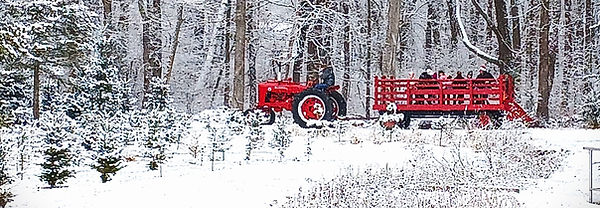 2025 Farmall M in field with wagon and snow.jpg