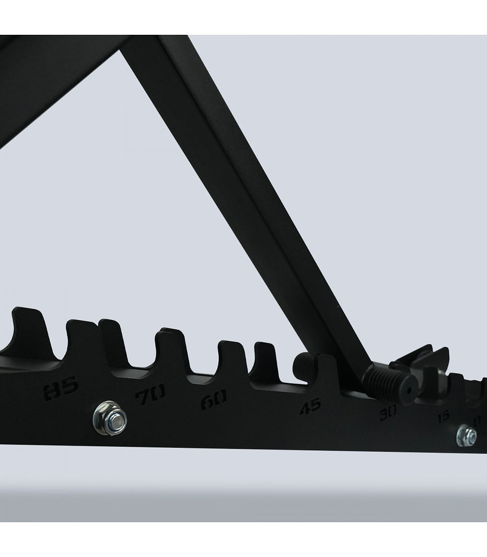 Miniature : BANC TRAINING PRO