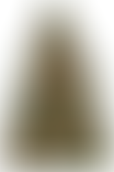 Alle Goeds voor het Nieuwe Jaar!