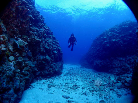 この海大好き‼️