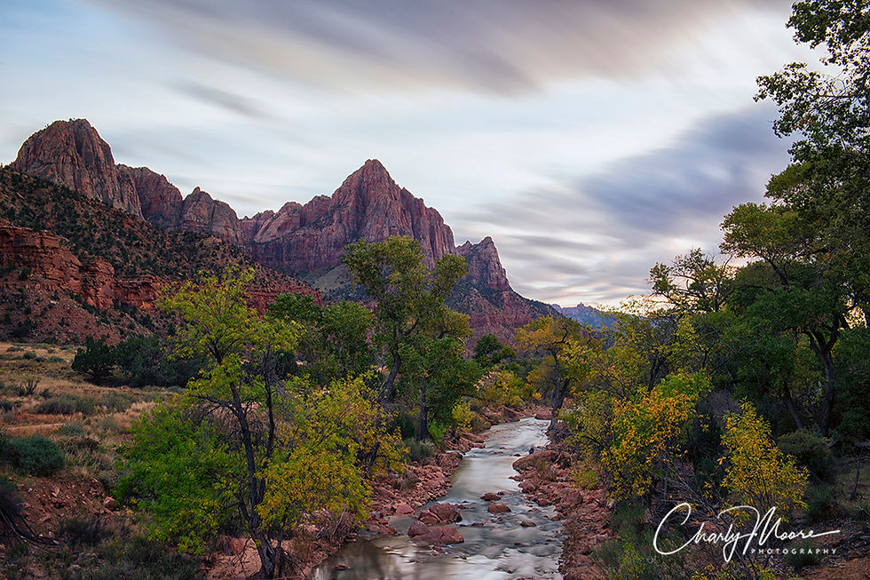 The Watchman #5 - Zion