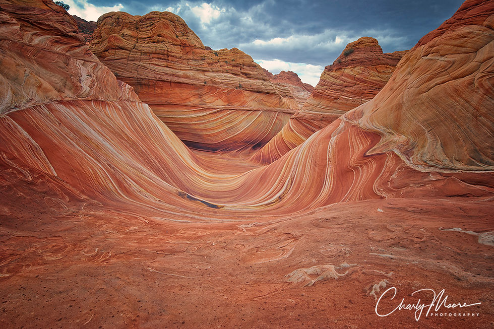 CMP 123_The Wave #2