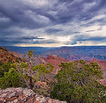 South Rim Grand Canyon #1