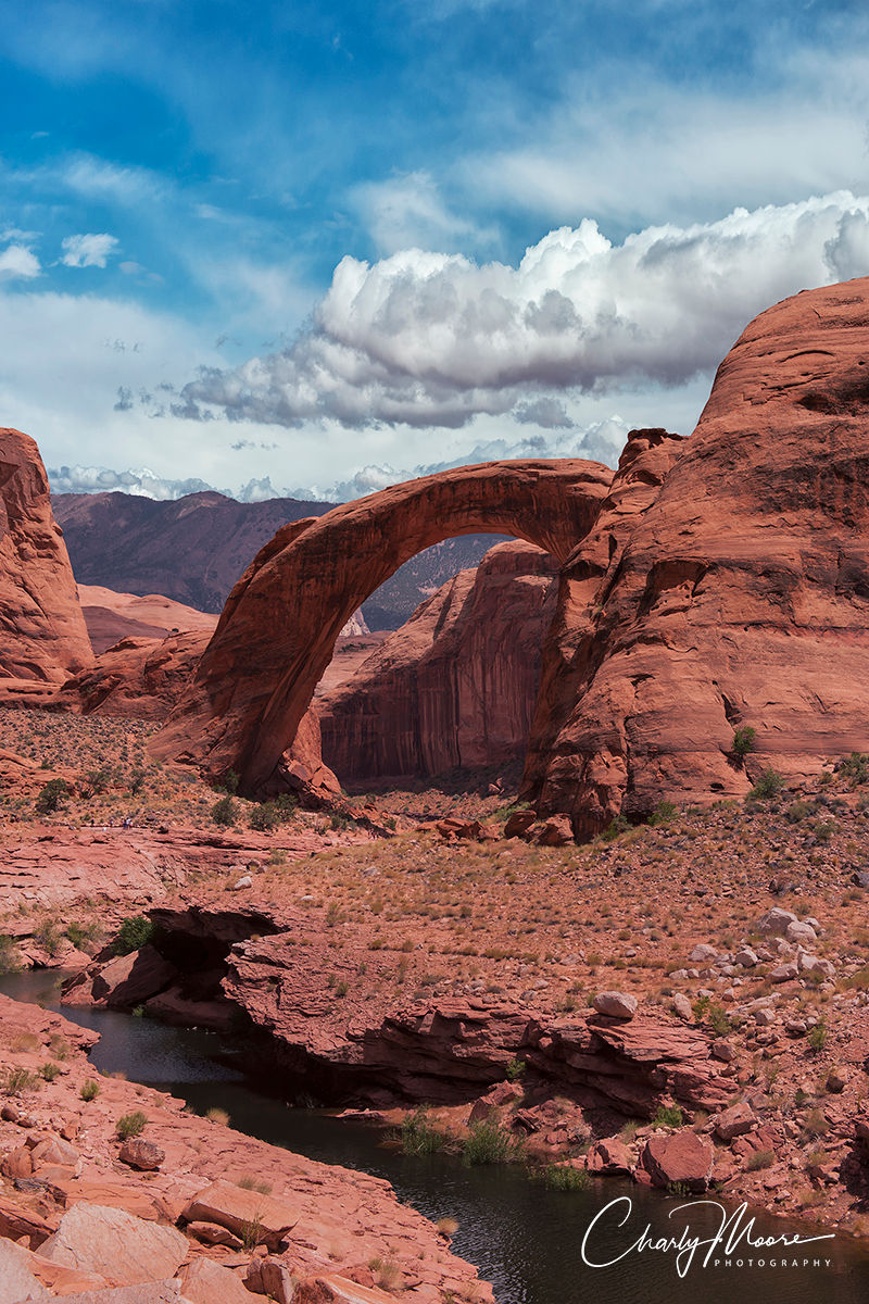 Rainbow Bridge #4
