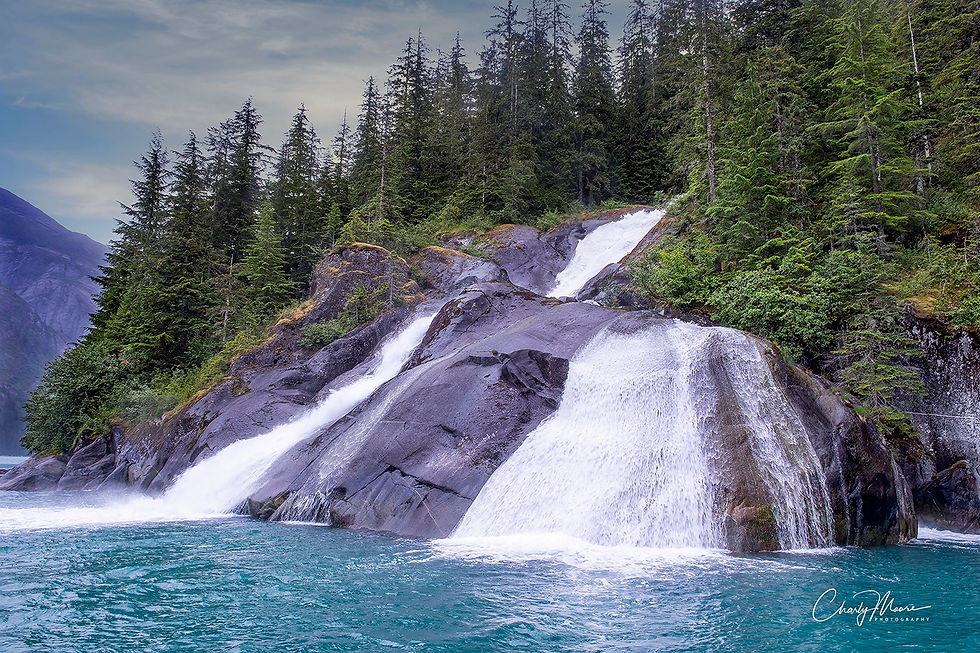 Along the Way to Tracy Arms Glacier #2