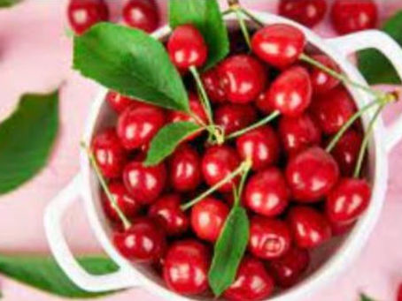 Ç’të pini nëse doni të bini në gjumë menjëherë? Shumë njerëz pijnë ilaçe gjumi, por nëse jeni për me