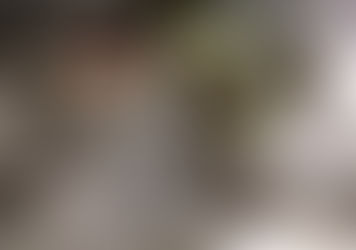 A do bëjnë dot gratë punët e rënda që i bëjnë burrat?
