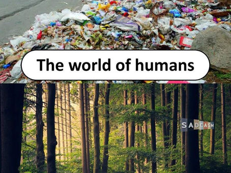 Bota e njerëzve dhe bota e kafshëve…