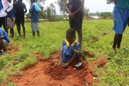 Student planting tree
