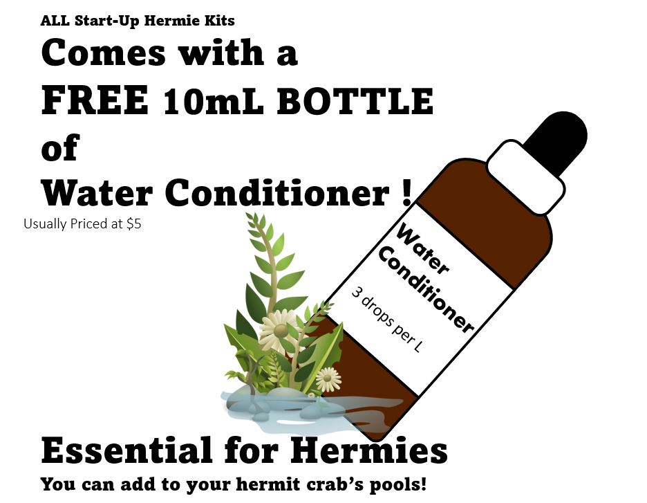 Thumbnail: Hermit Crab Starter Kits