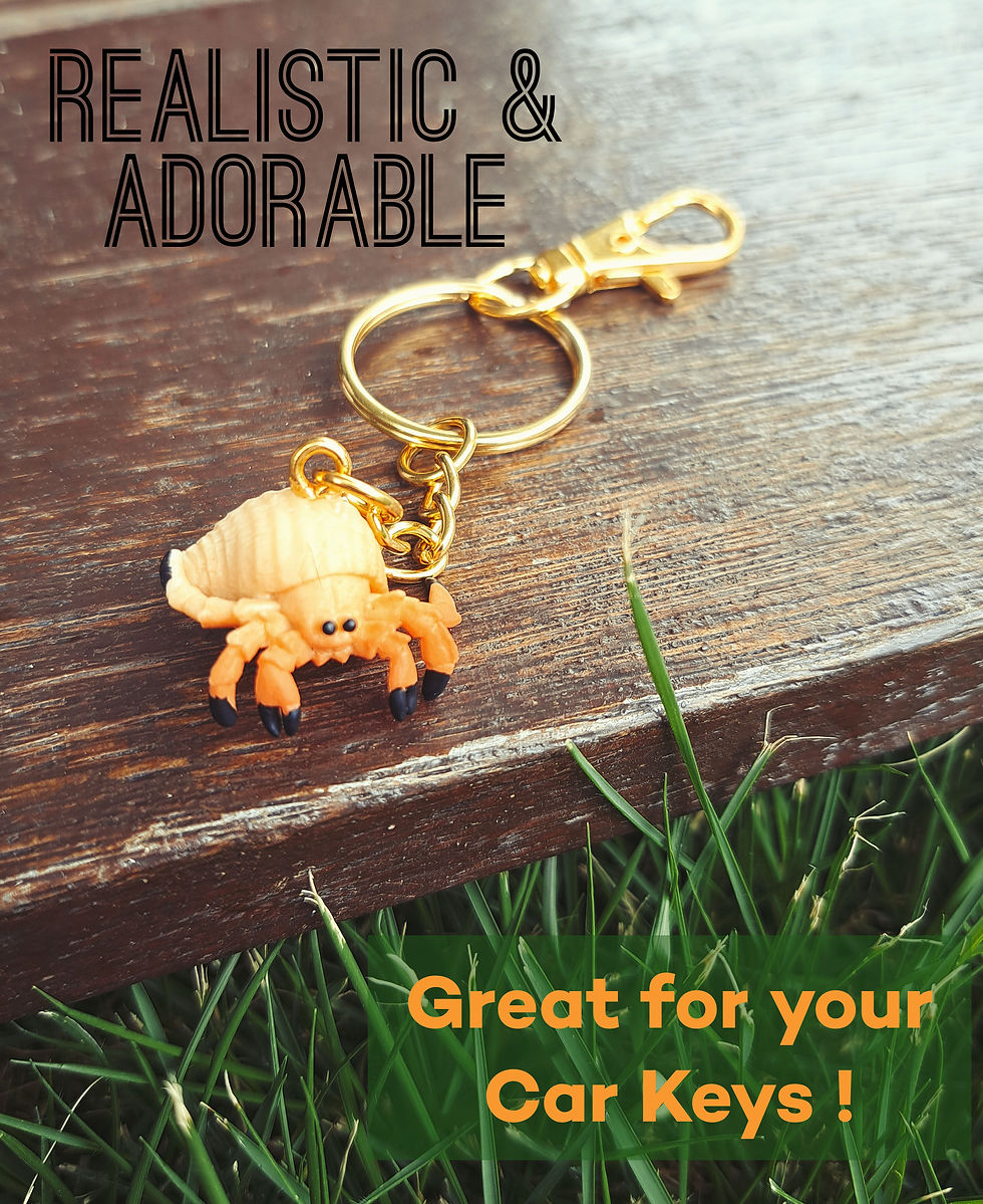 Thumbnail: Hermit Crab Key Chain | Golden Crustacean Companion Key Chain