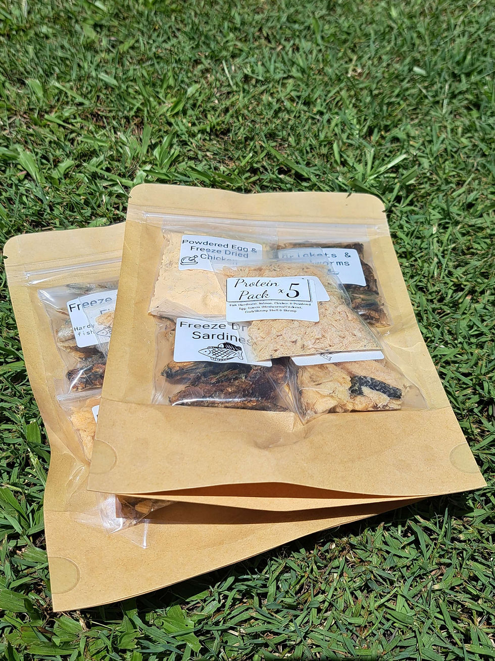 Thumbnail: Protein 5 Pack - Hermit Crab Health Food